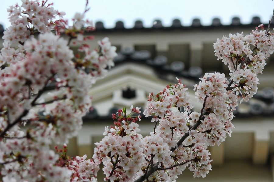 Matsuyama Castle